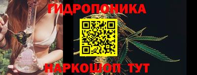 ПСИЛОЦИБИНОВЫЕ ГРИБЫ Тулун