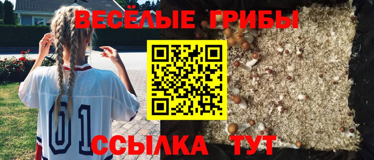 Галлюциногенные грибы Magic Shrooms  Вход с VPN  Углич 